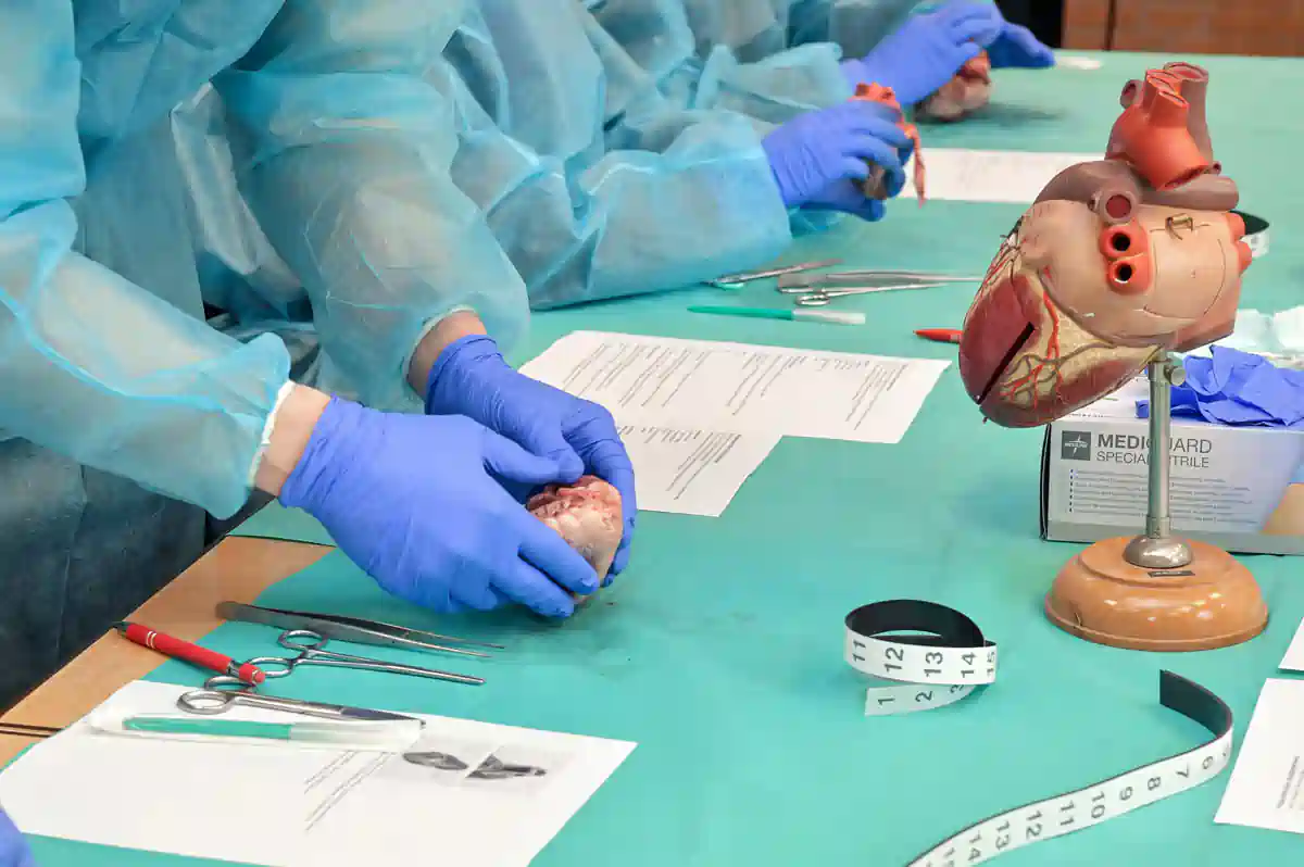 Praktisches Lernen bei der AFG Solingen Praktisches Lernen bei der AFG Solingen